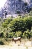 Casamozza-Calvi03k.jpg - 3872 Bytes